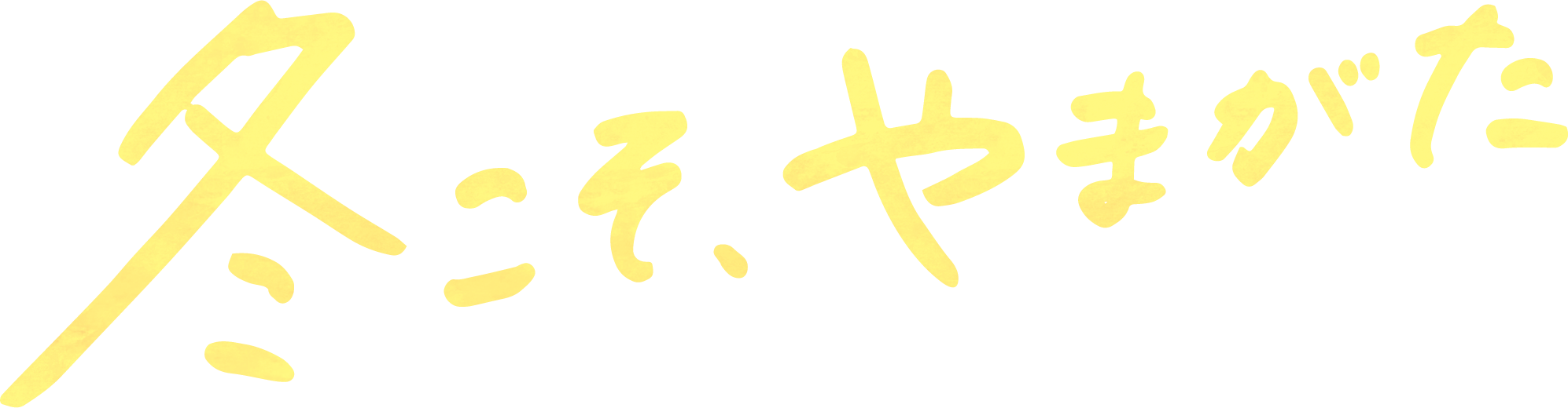 冬こそやまがた