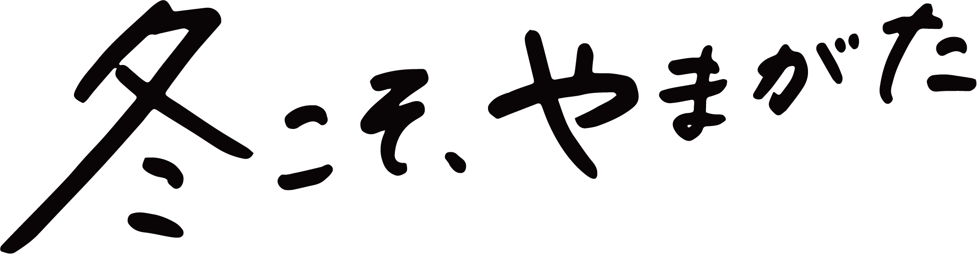 冬こそやまがた